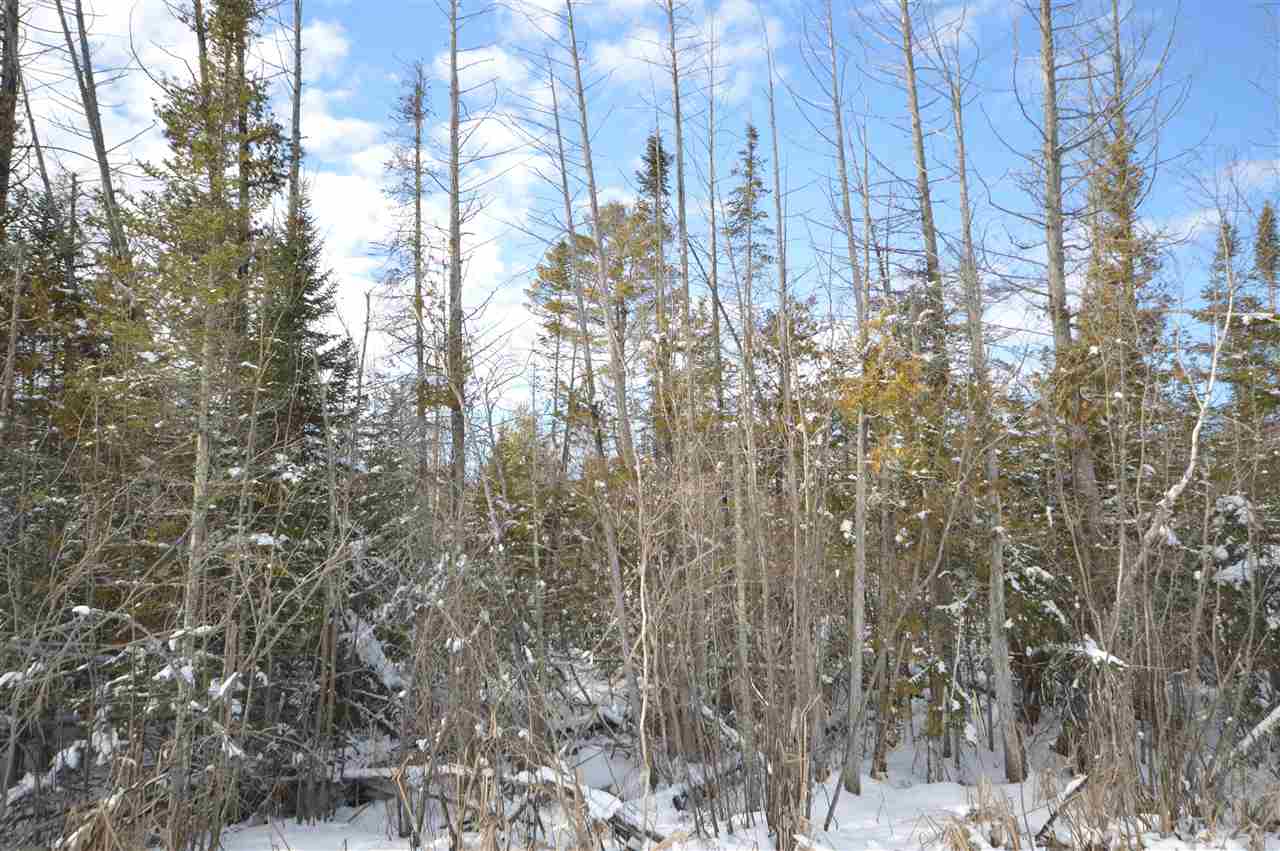 3511 Korthase Road Boyne City MI 49712