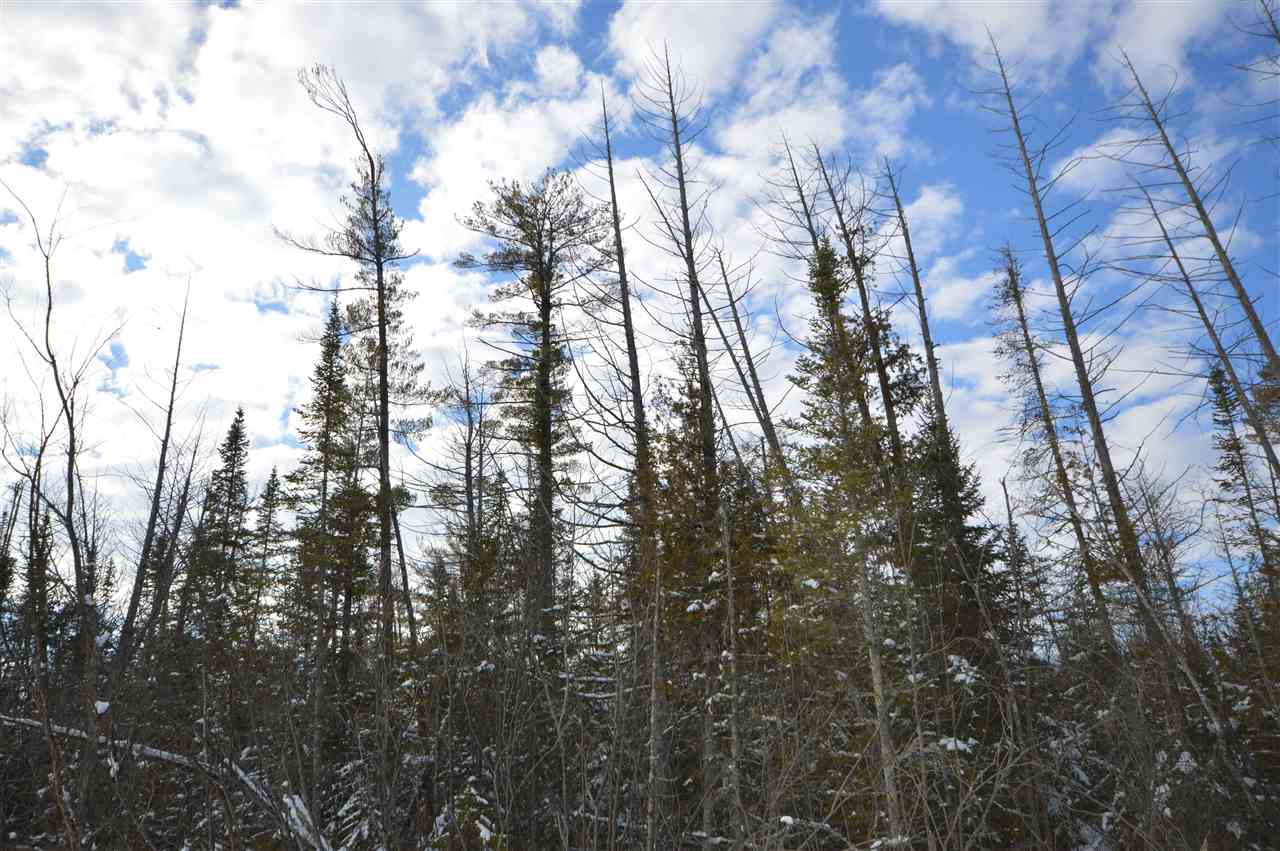 3511 Korthase Road Boyne City MI 49712