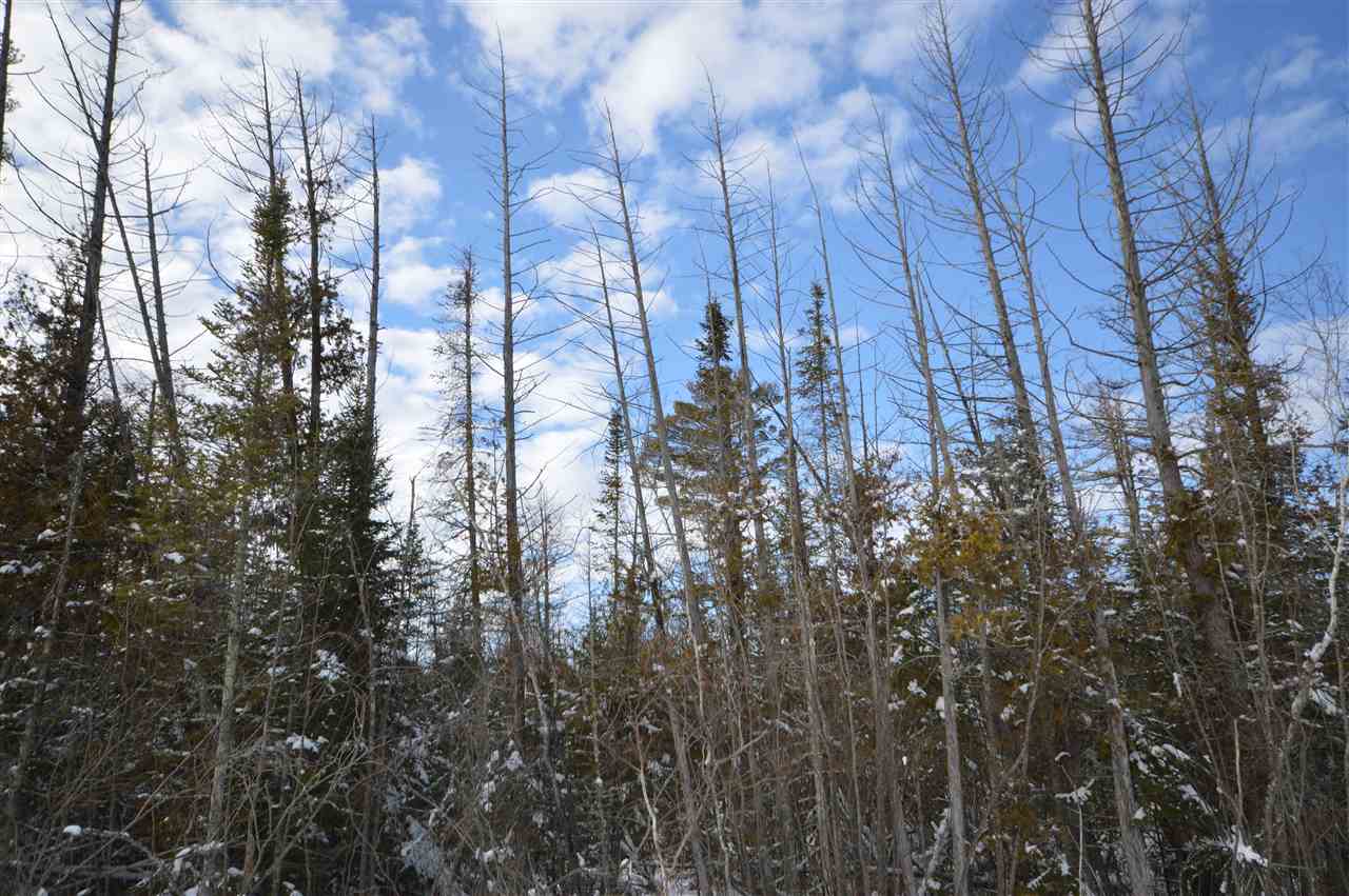 3511 Korthase Road Boyne City MI 49712