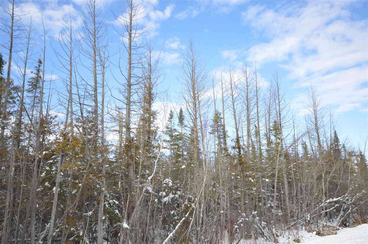 3511 Korthase Road Boyne City MI 49712