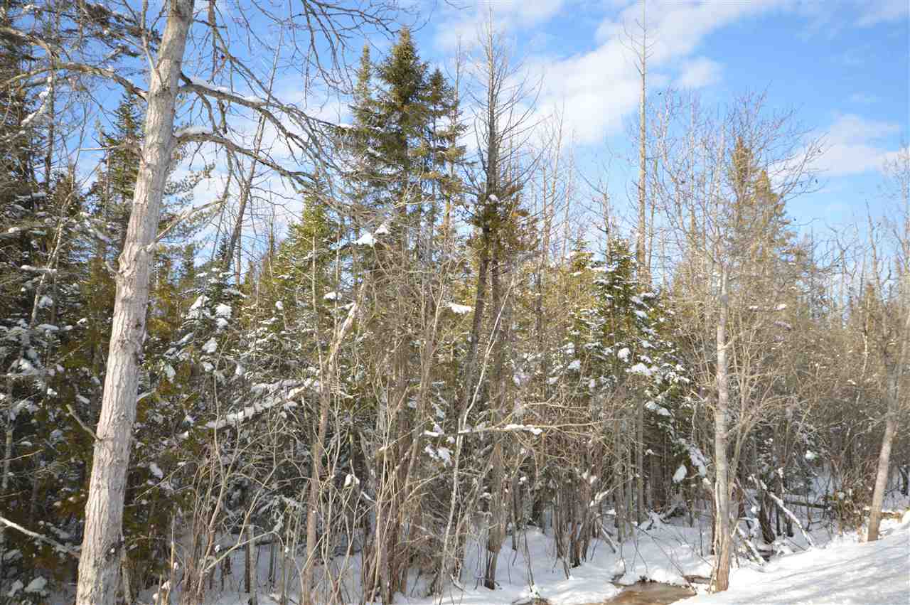 3511 Korthase Road Boyne City MI 49712