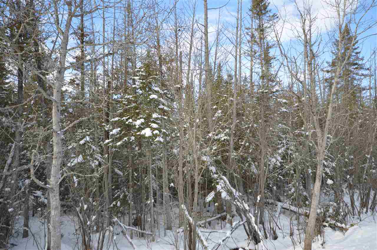 3511 Korthase Road Boyne City MI 49712