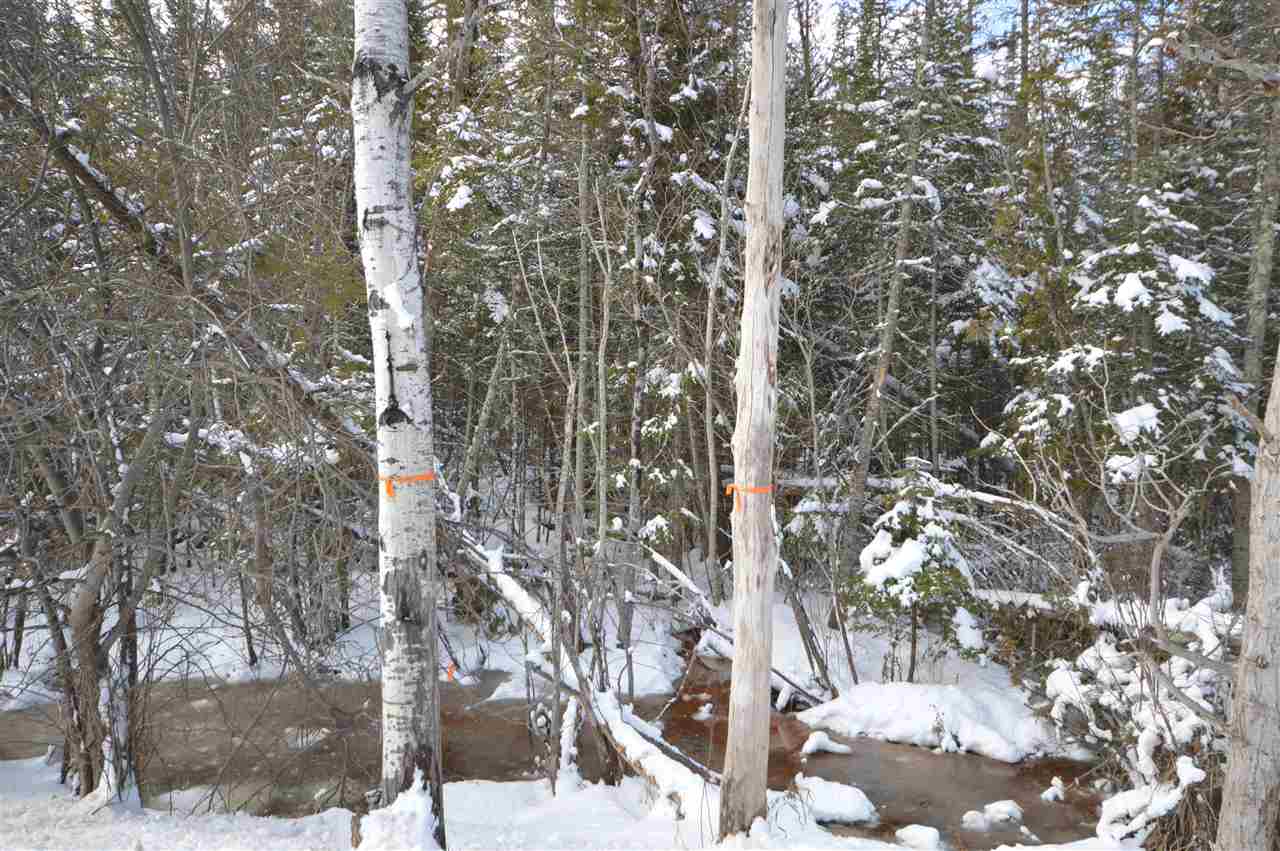 3511 Korthase Road Boyne City MI 49712