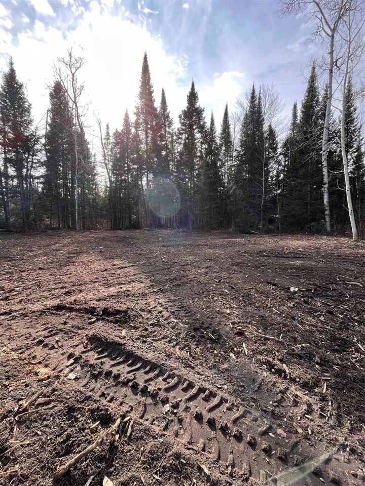 3511 Korthase Road Boyne City MI 49712