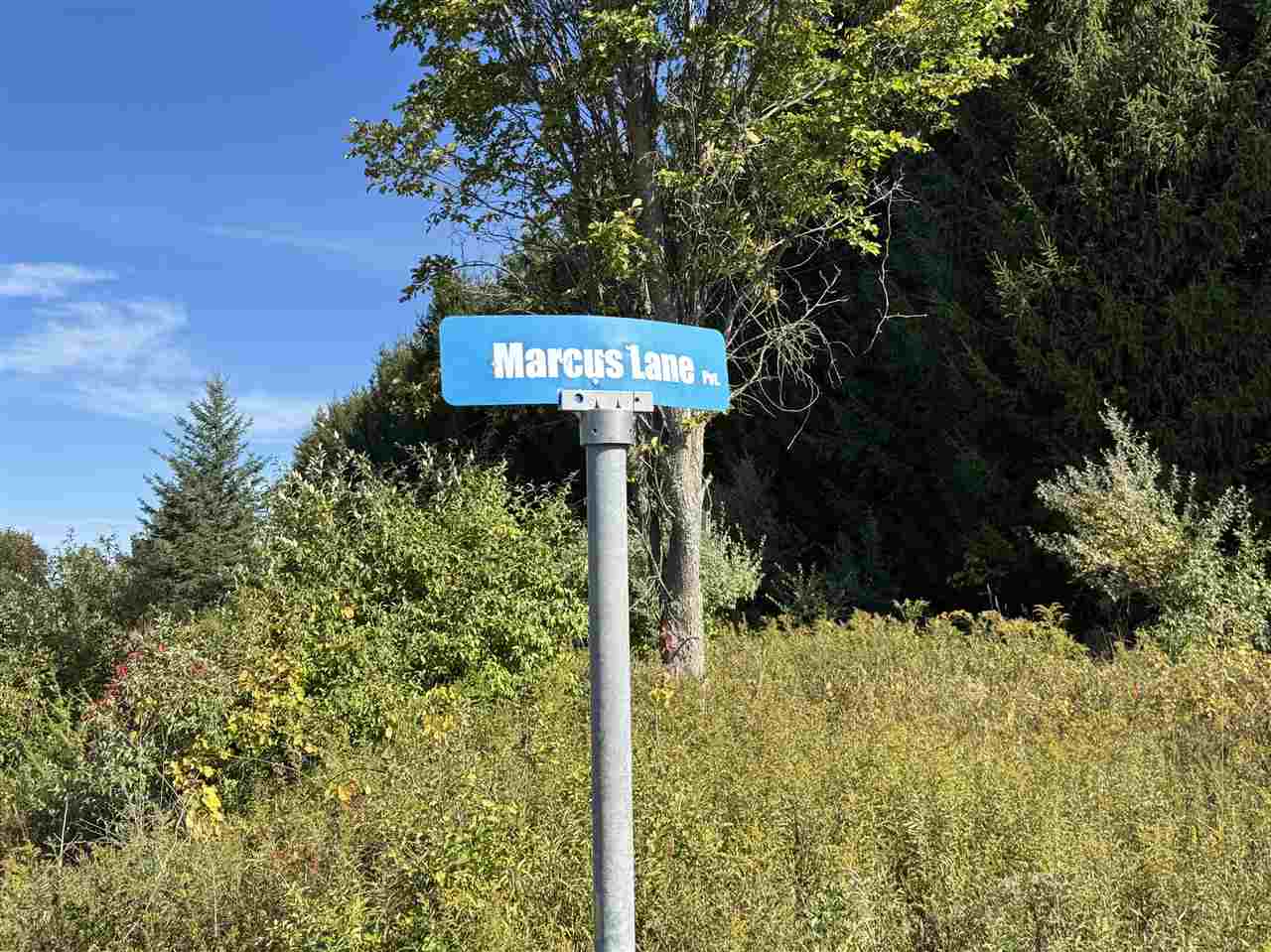 Tbd Coeling Road Ellsworth MI 49729