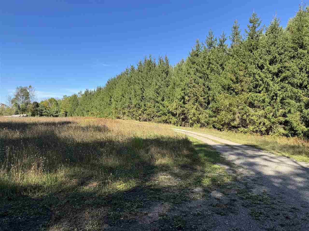 Tbd Coeling Road Ellsworth MI 49729