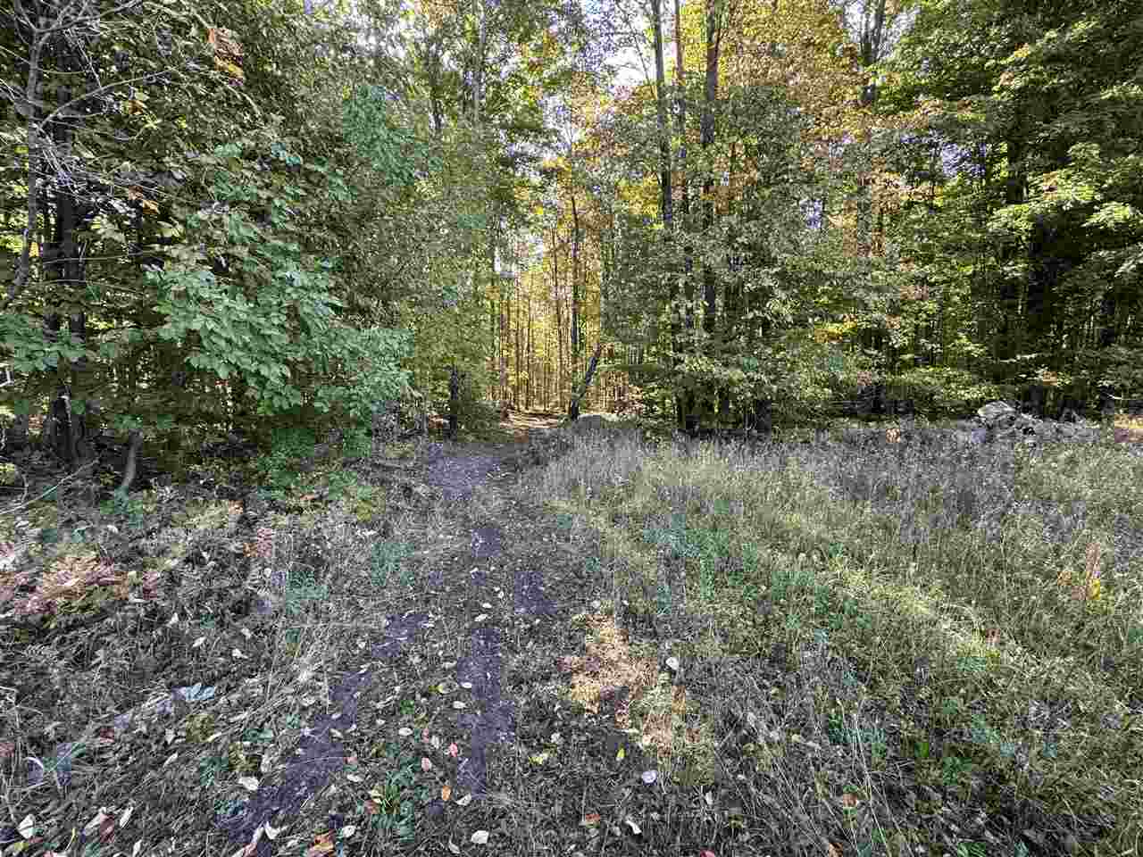 Tbd Coeling Road Ellsworth MI 49729