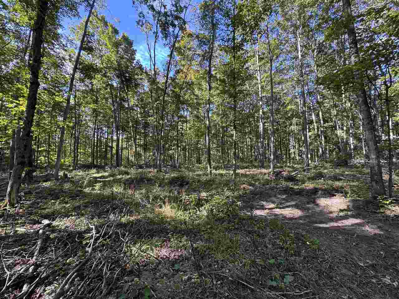 Tbd Coeling Road Ellsworth MI 49729