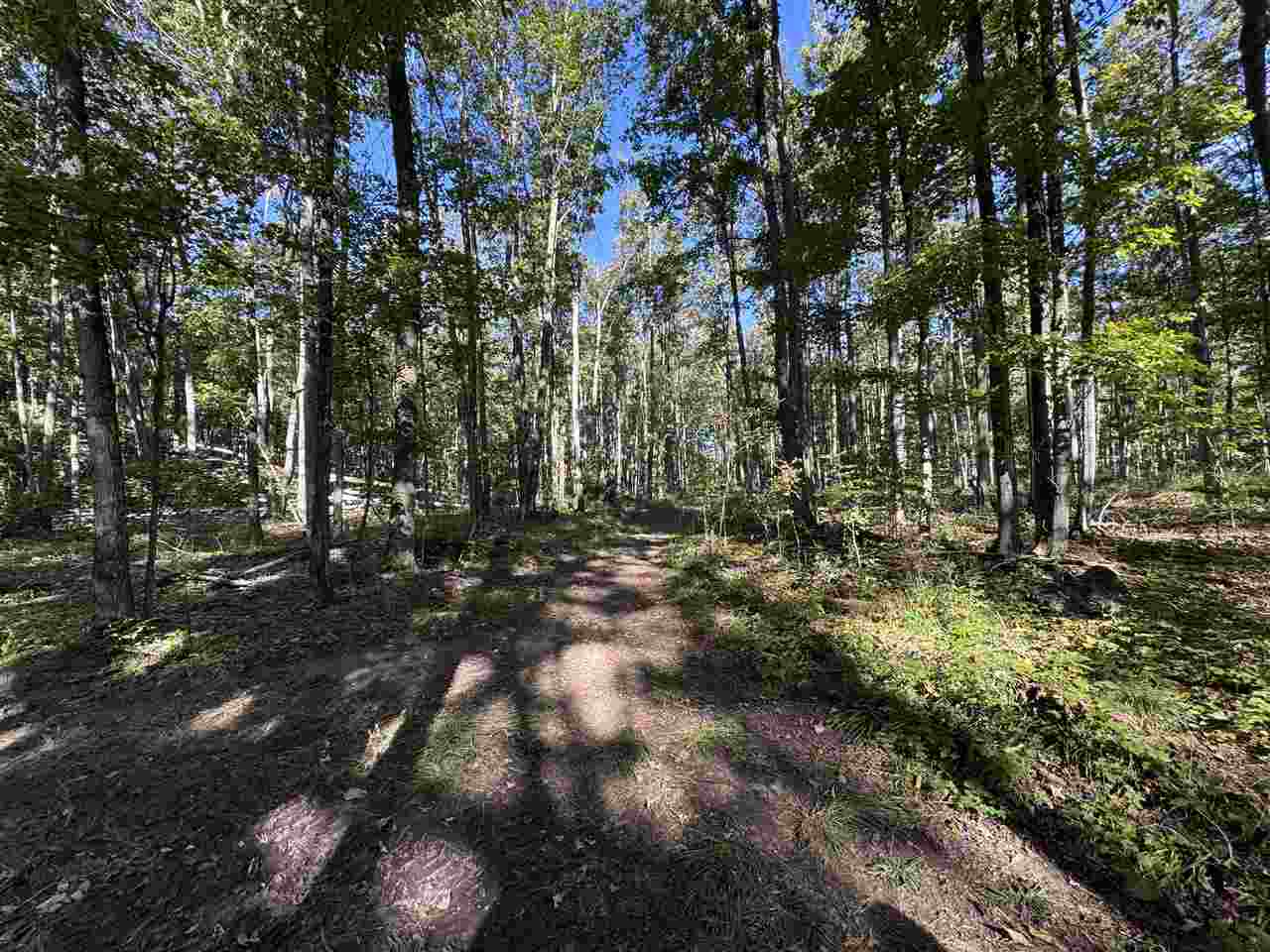 Tbd Coeling Road Ellsworth MI 49729