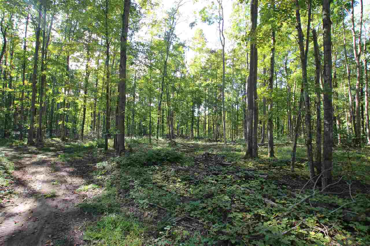 Tbd Coeling Road Ellsworth MI 49729