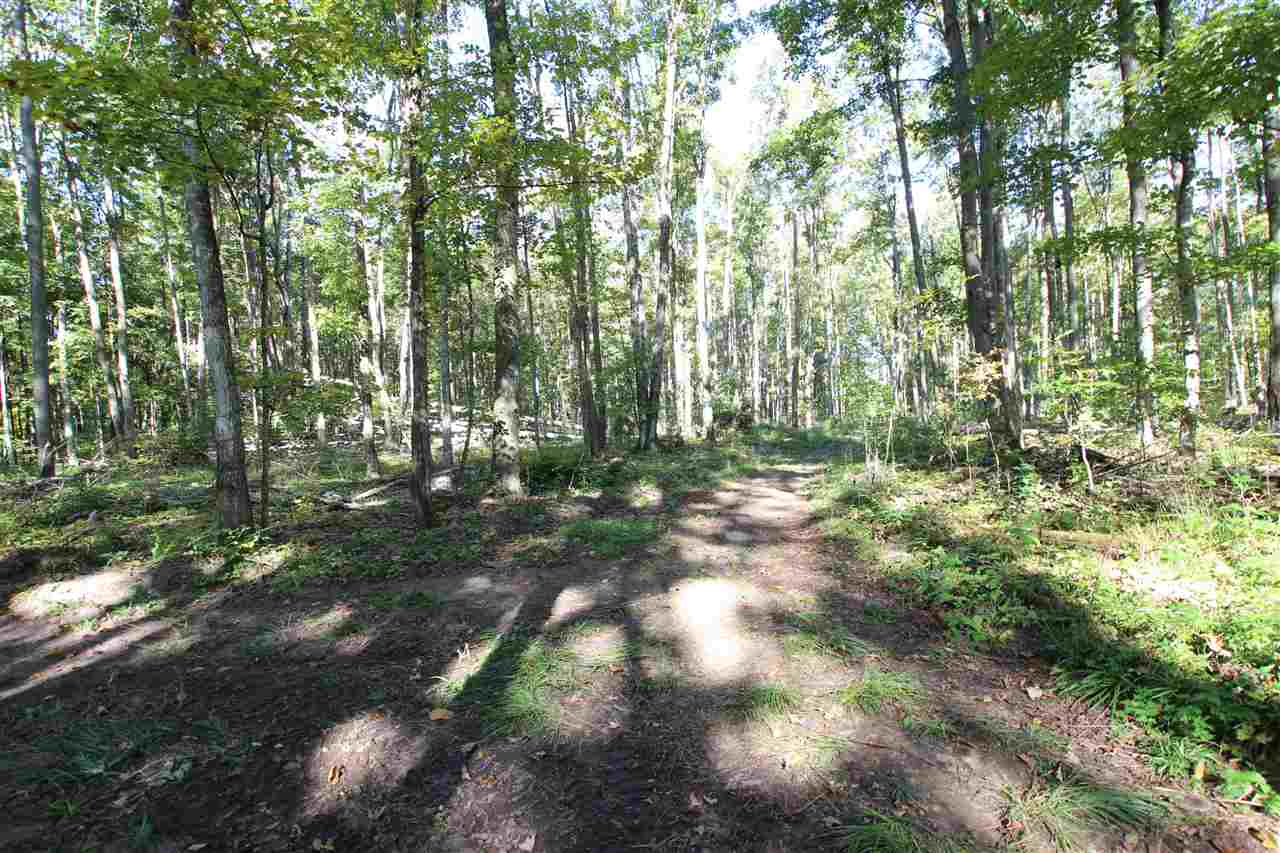 Tbd Coeling Road Ellsworth MI 49729