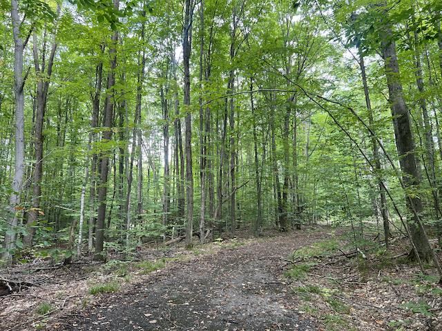 Lot 44 Hauschen Lane Bellaire MI 49615