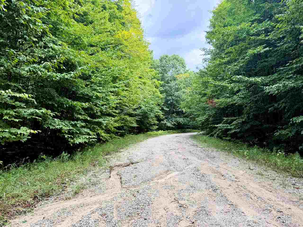 Lots 331-332 Edelweiss Drive Bellaire MI 49615