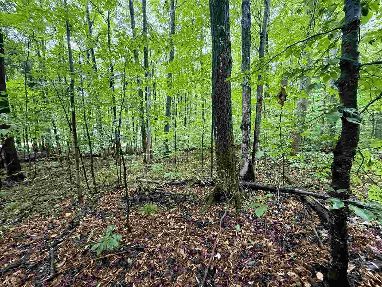 Lots 331-332 Edelweiss Drive Bellaire MI 49615