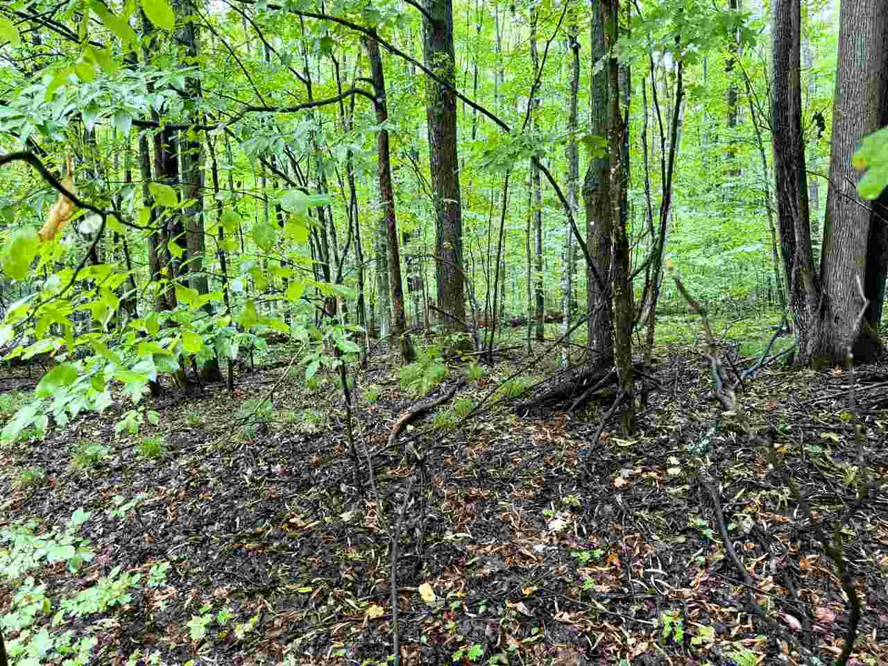 Lots 331-332 Edelweiss Drive Bellaire MI 49615