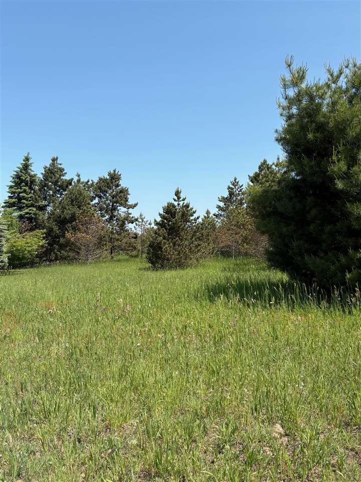 200 Pleasant Valley Drive Harbor Springs MI 49740