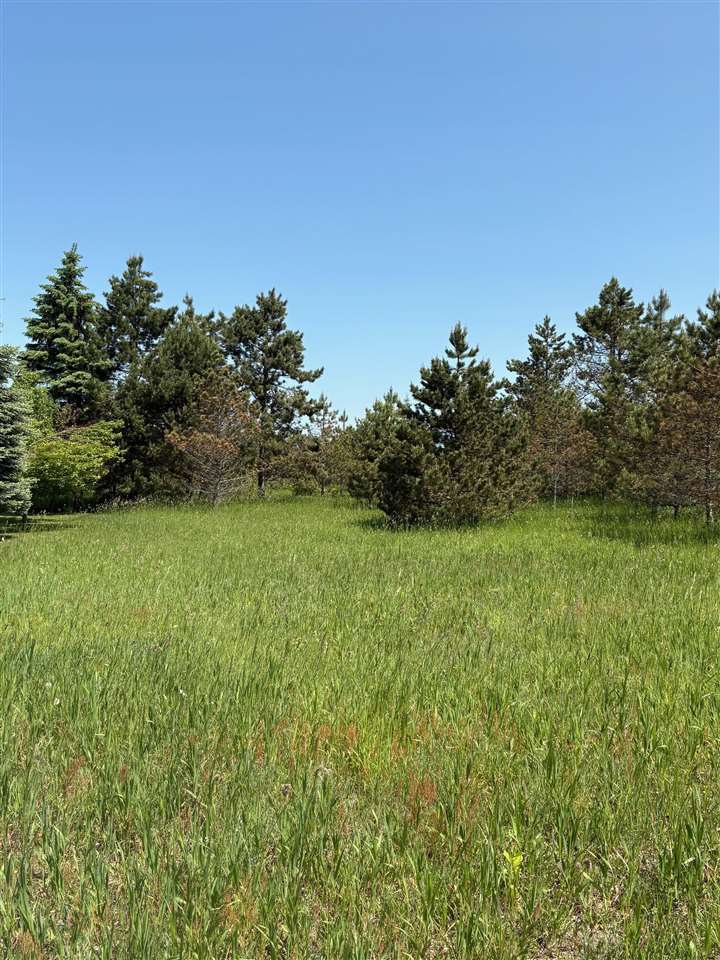 200 Pleasant Valley Drive Harbor Springs MI 49740