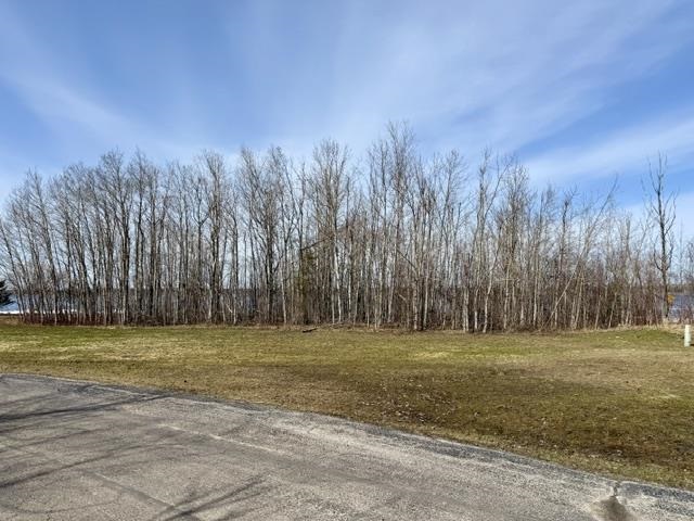 V/l Paradise Lane Levering MI 49755