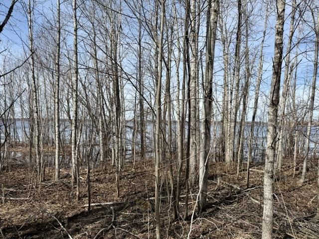 V/l Paradise Lane Levering MI 49755