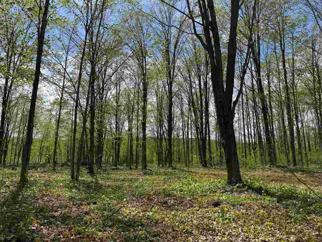 5727 Shady Lane Harbor Springs MI 49740