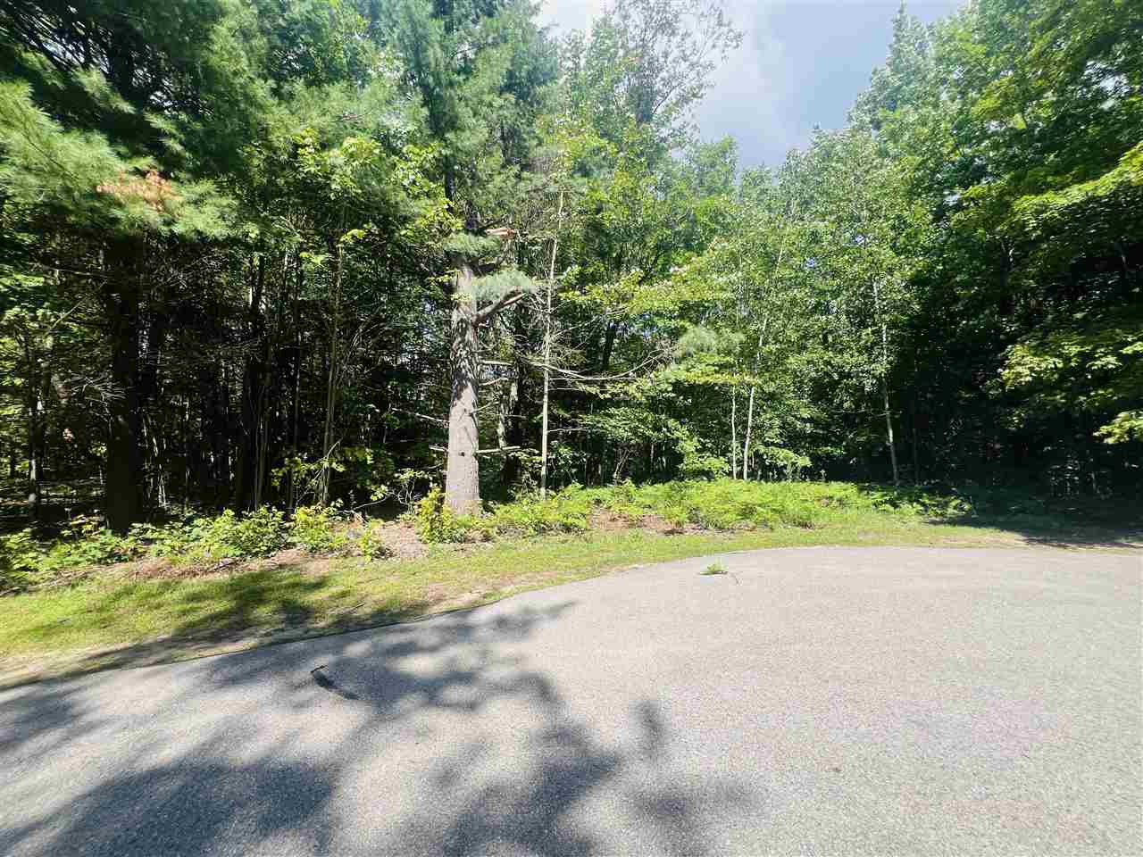 8911 Spring Ridge Drive Petoskey MI 49770