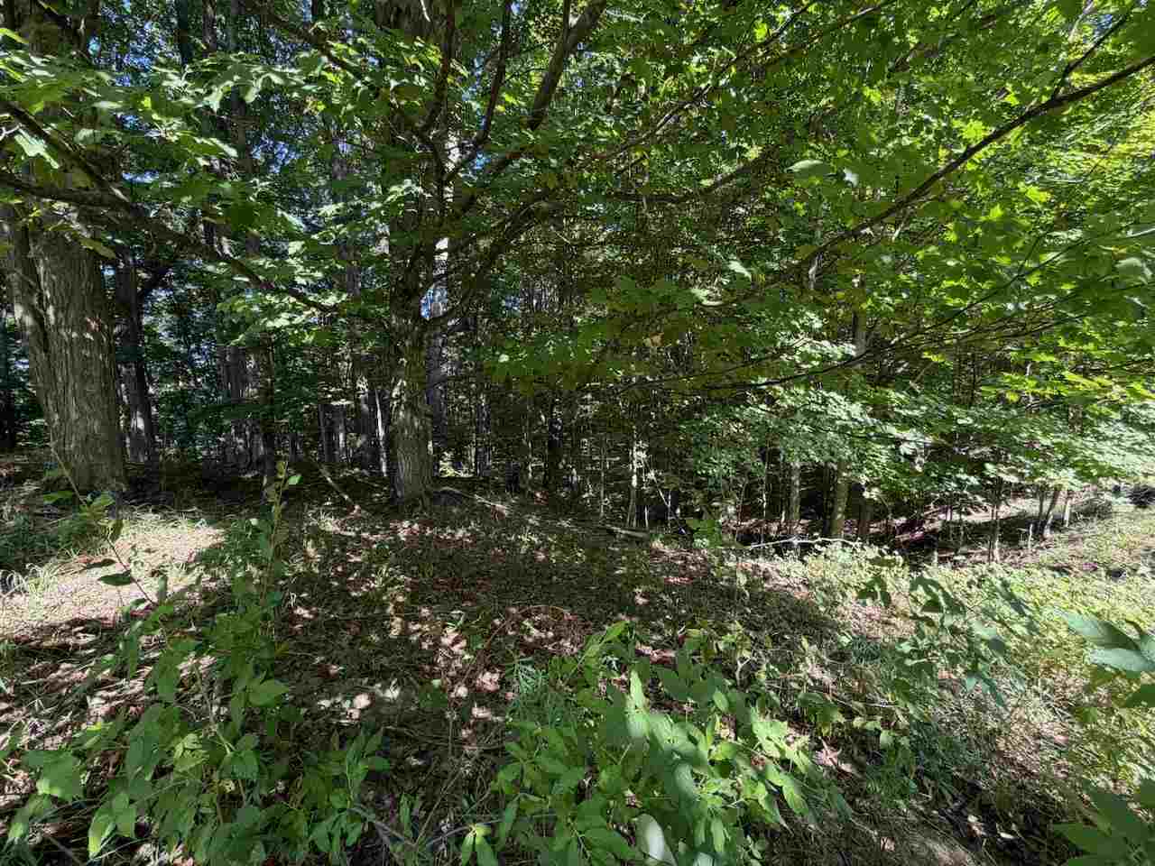 Unit 14 Ranch Drive Bellaire MI 49615