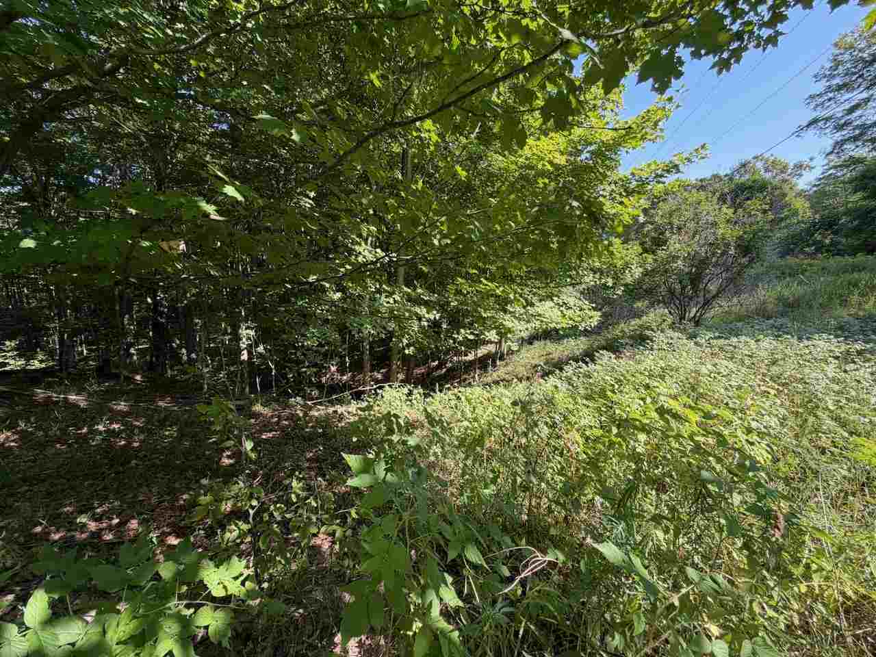 Unit 14 Ranch Drive Bellaire MI 49615
