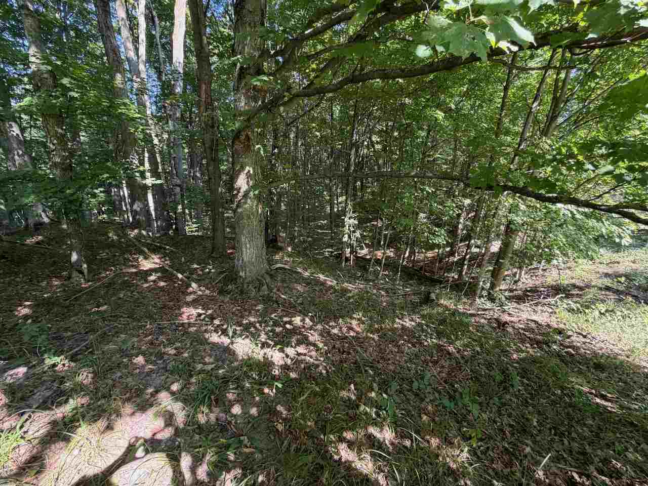 Unit 14 Ranch Drive Bellaire MI 49615