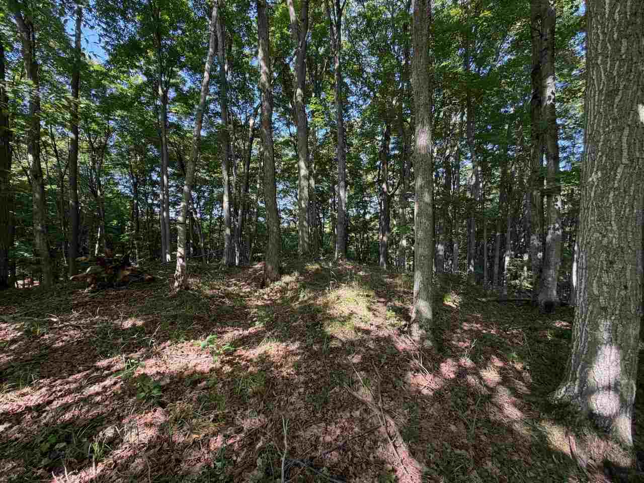 Unit 14 Ranch Drive Bellaire MI 49615