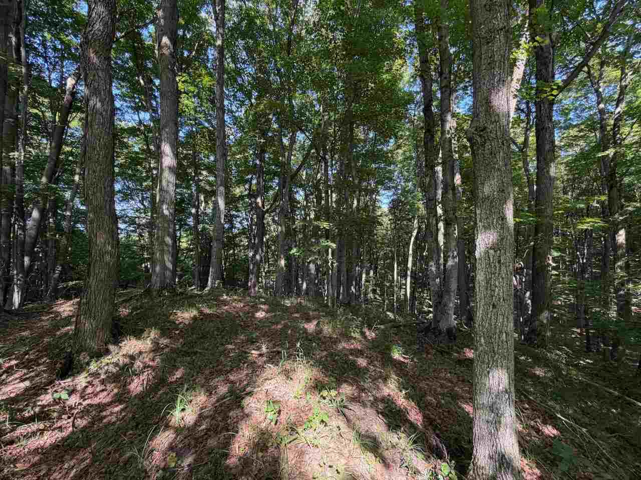 Unit 14 Ranch Drive Bellaire MI 49615