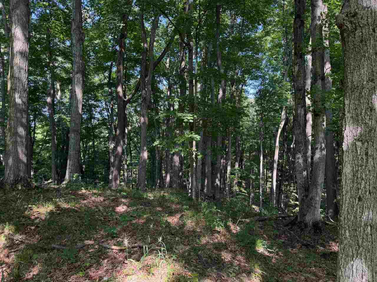 Unit 14 Ranch Drive Bellaire MI 49615