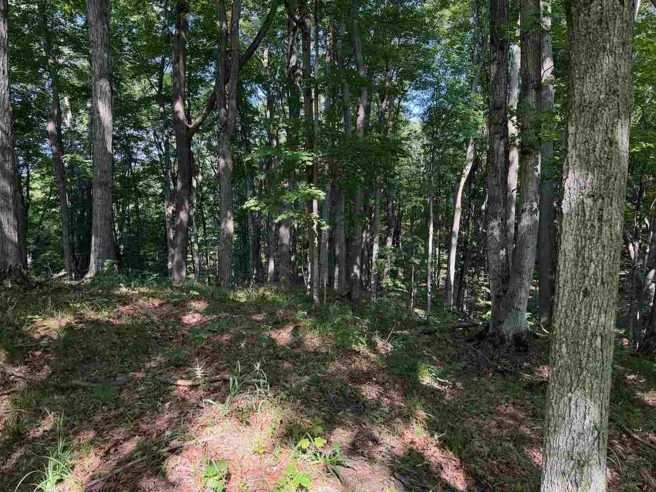 Unit 14 Ranch Drive Bellaire MI 49615