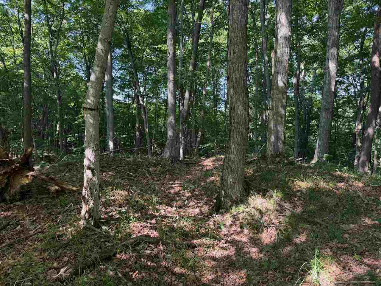 Unit 14 Ranch Drive Bellaire MI 49615