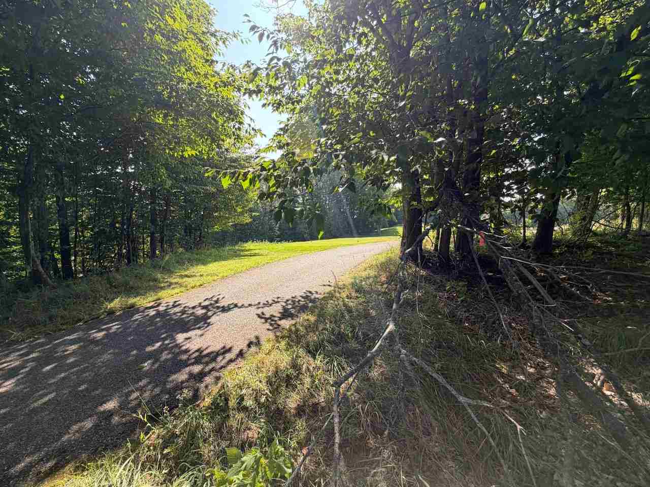 Unit 14 Ranch Drive Bellaire MI 49615