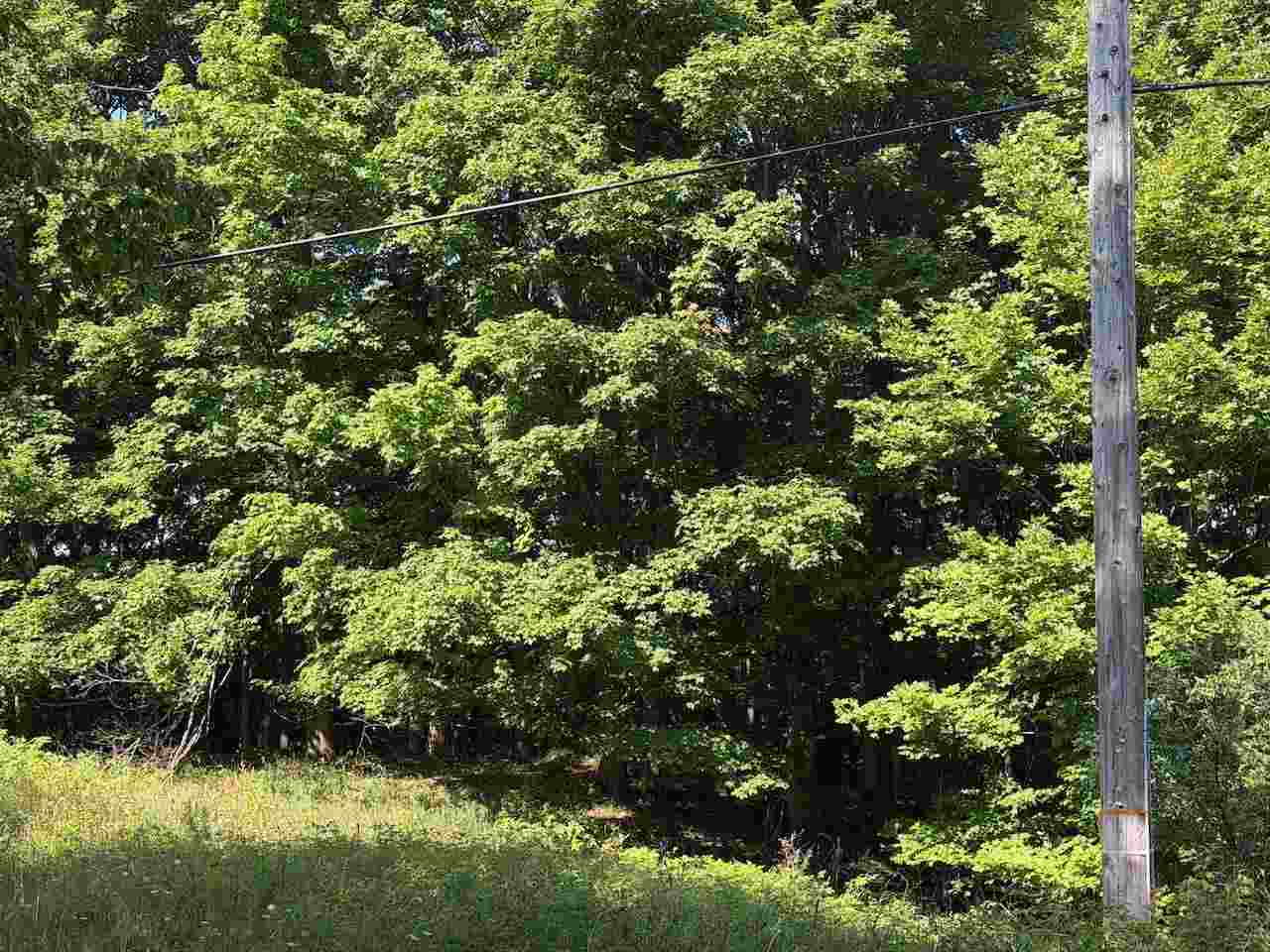 Unit 14 Ranch Drive Bellaire MI 49615