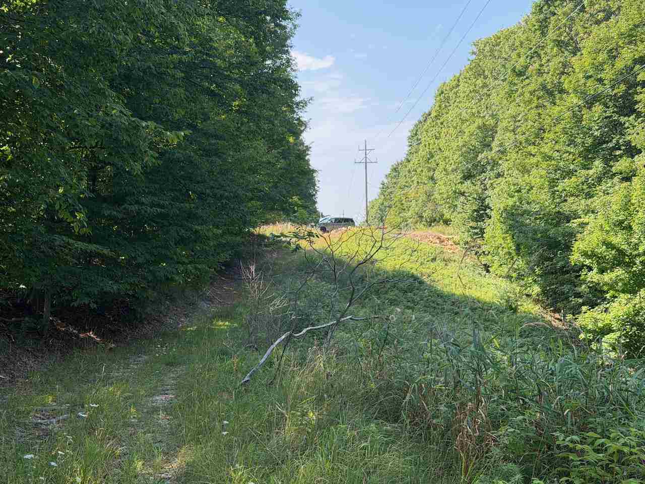 Unit 14 Ranch Drive Bellaire MI 49615