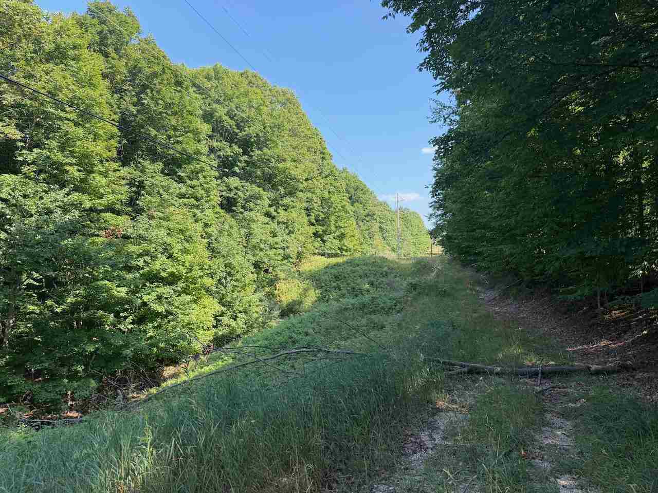 Unit 14 Ranch Drive Bellaire MI 49615