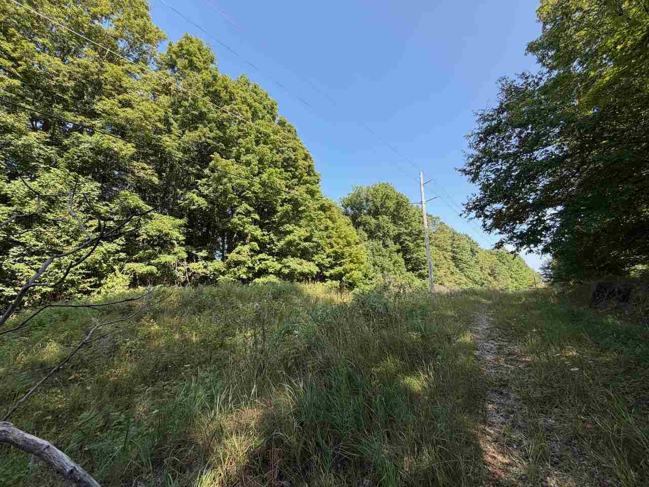 Unit 14 Ranch Drive Bellaire MI 49615