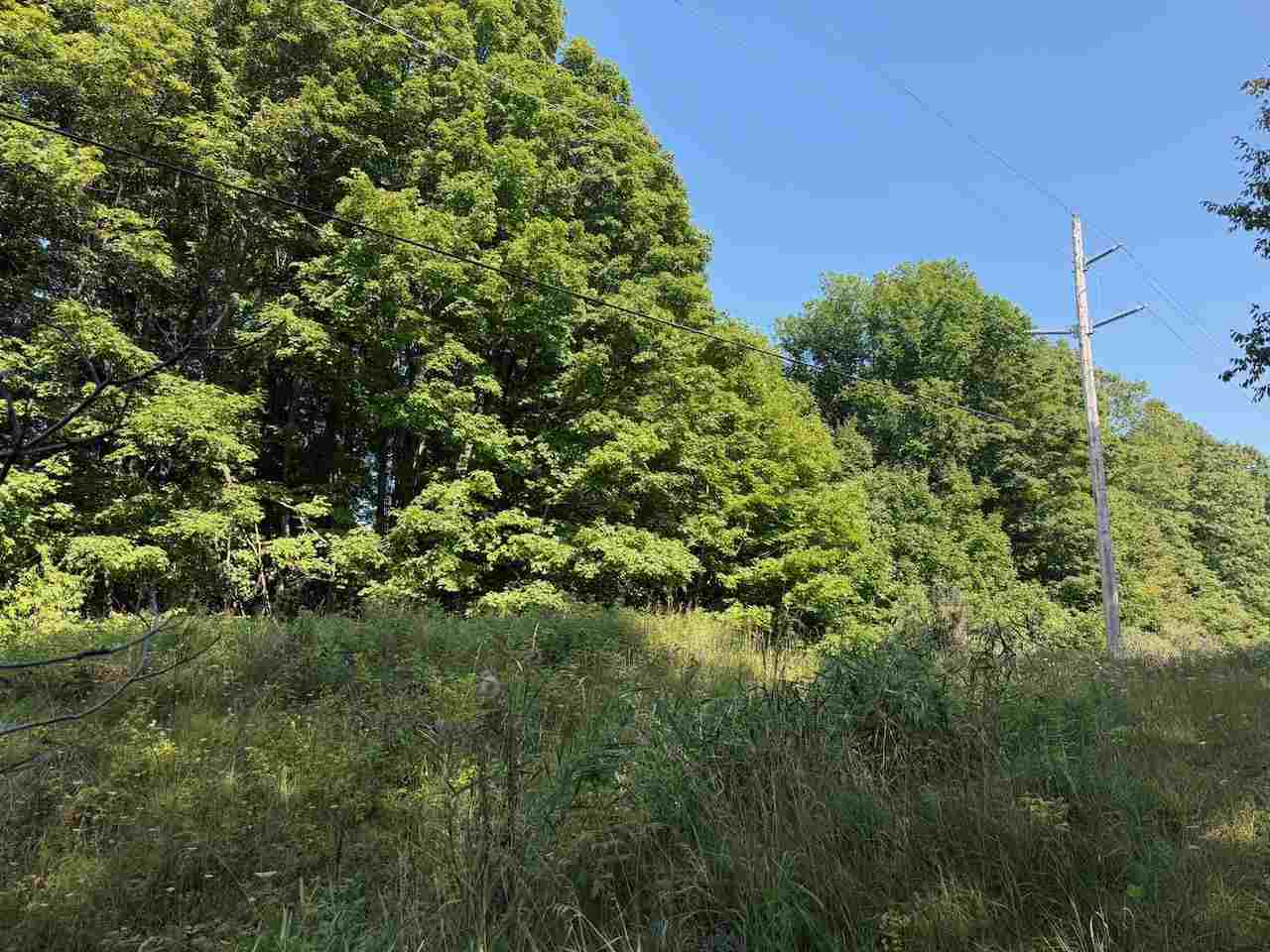 Unit 14 Ranch Drive Bellaire MI 49615