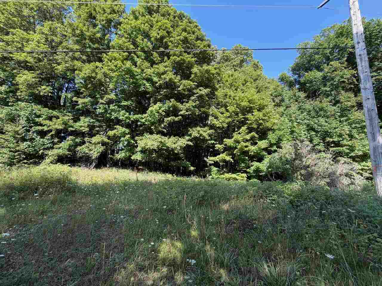 Unit 14 Ranch Drive Bellaire MI 49615