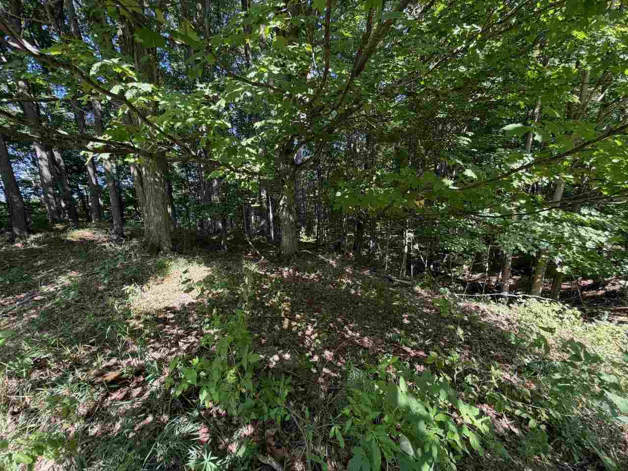 Unit 14 Ranch Drive Bellaire MI 49615