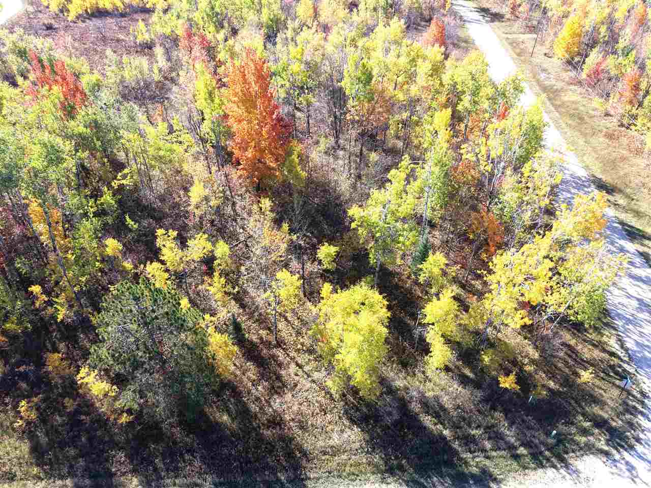 11600 Pencil Lake Road Elmira MI 49730