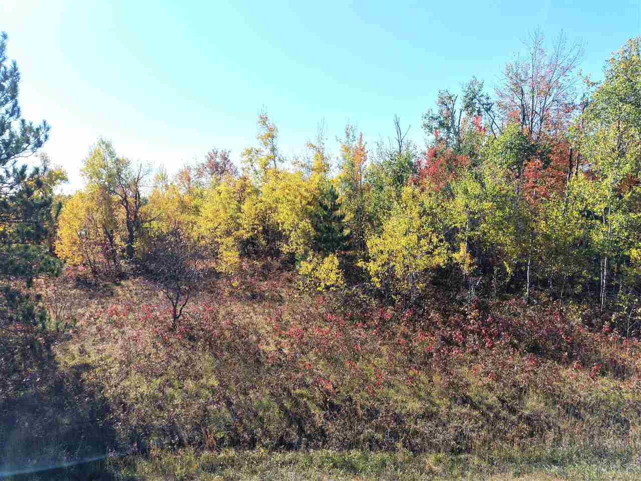 11600 Pencil Lake Road Elmira MI 49730