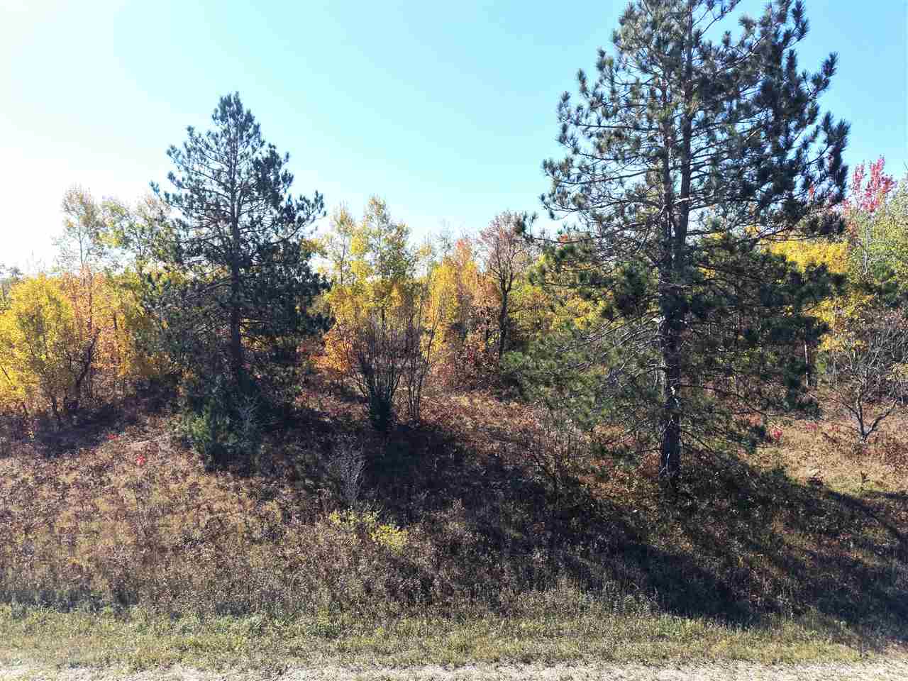 11600 Pencil Lake Road Elmira MI 49730
