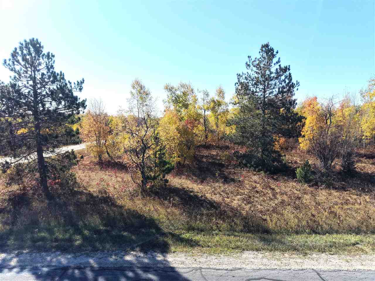 11600 Pencil Lake Road Elmira MI 49730