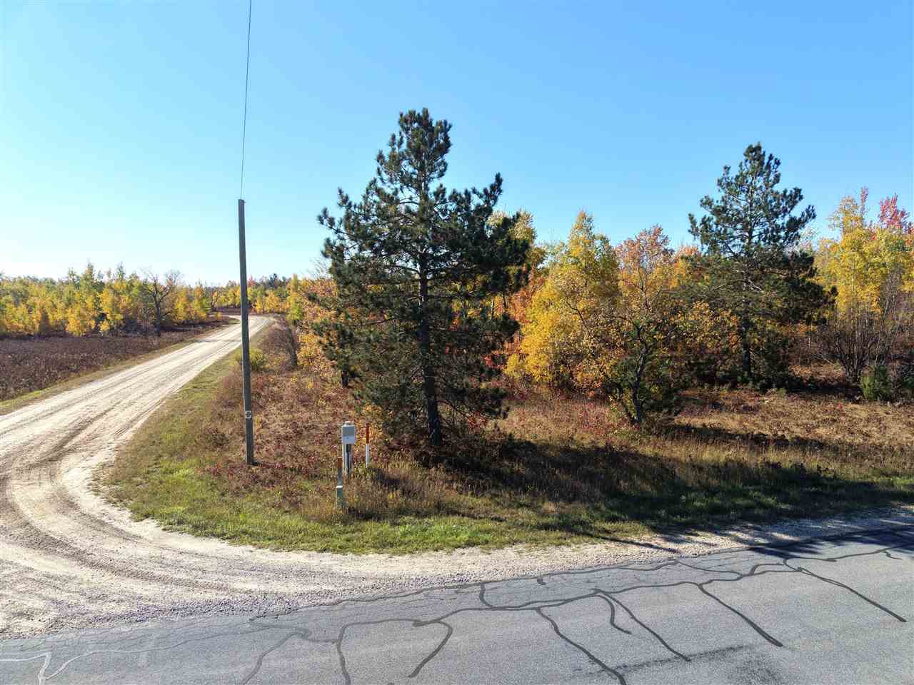 11600 Pencil Lake Road Elmira MI 49730