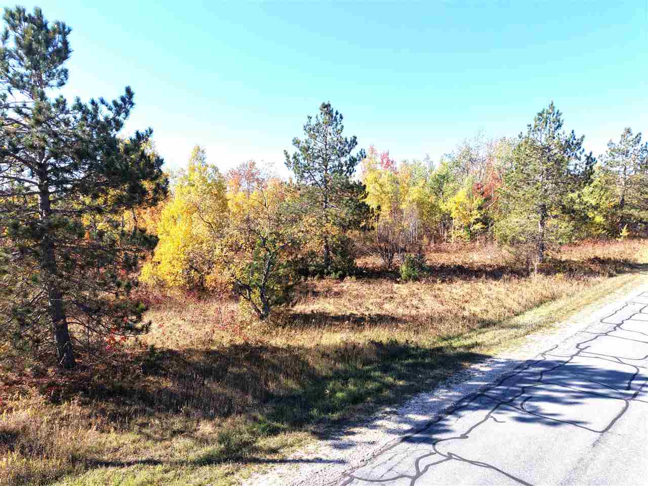 11600 Pencil Lake Road Elmira MI 49730