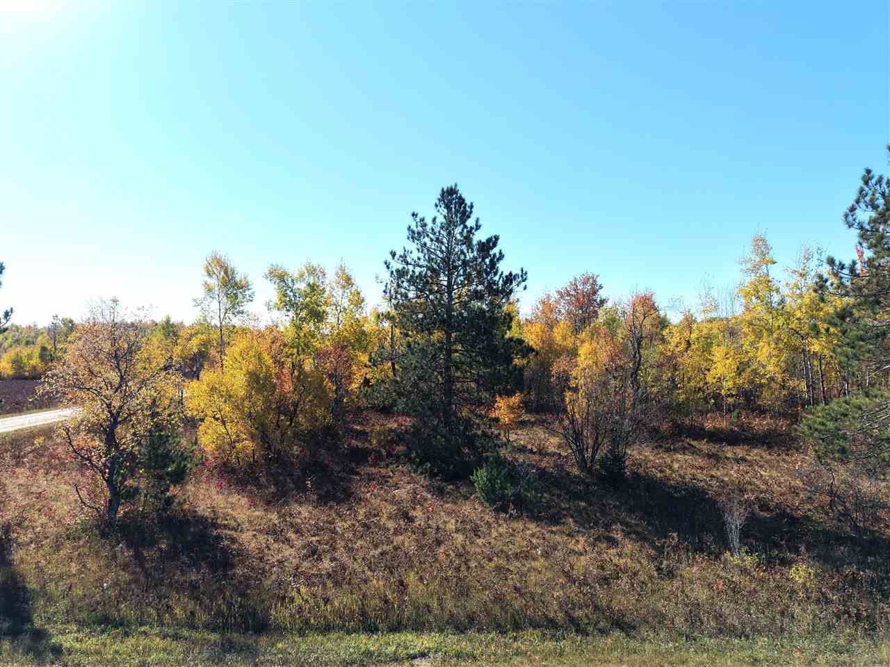 11600 Pencil Lake Road Elmira MI 49730