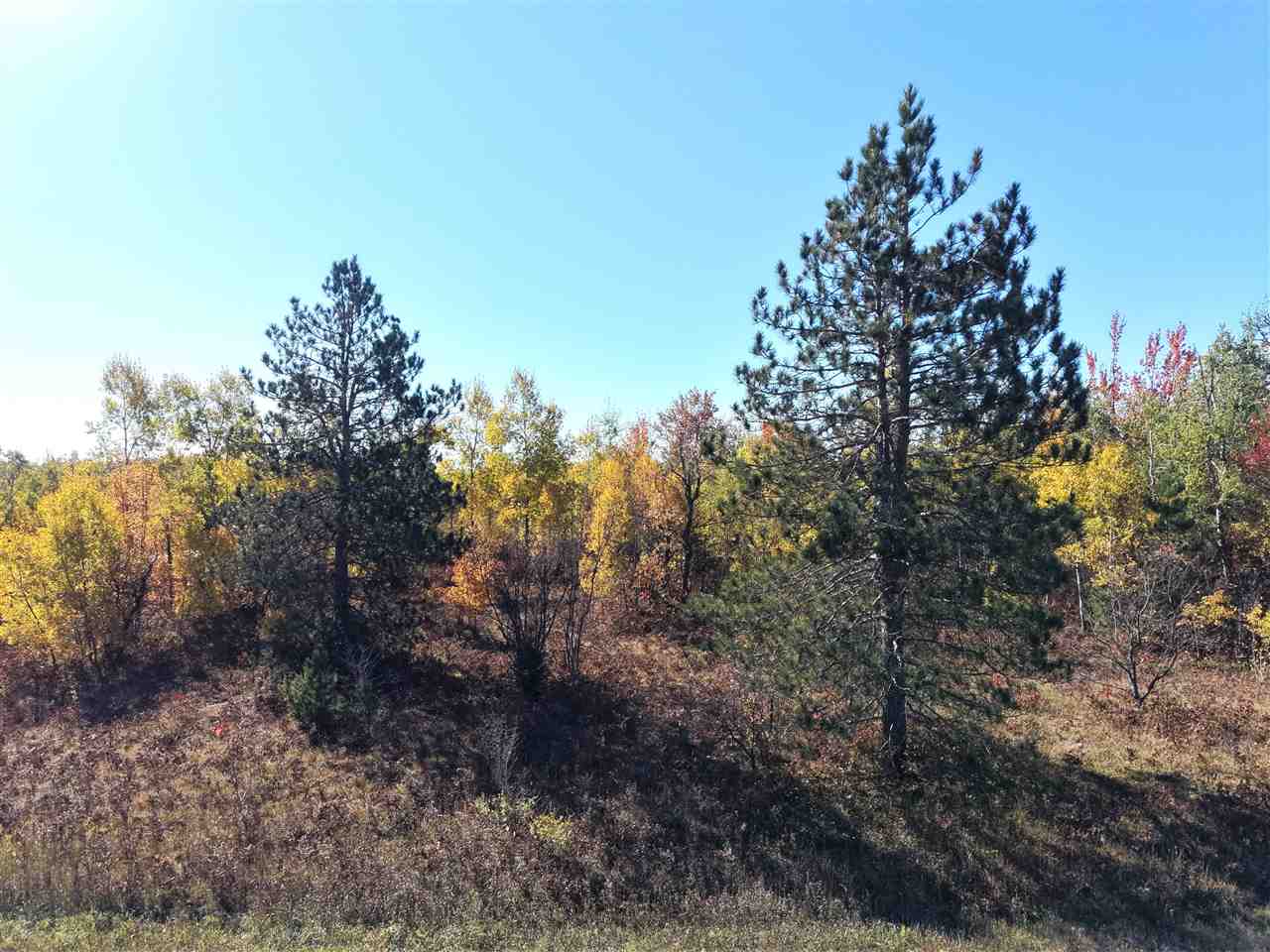 11600 Pencil Lake Road Elmira MI 49730