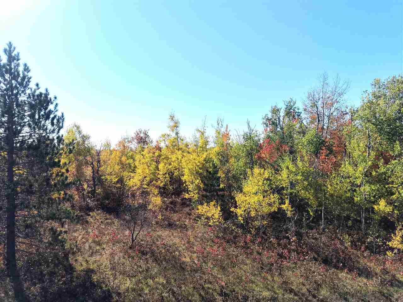 11600 Pencil Lake Road Elmira MI 49730